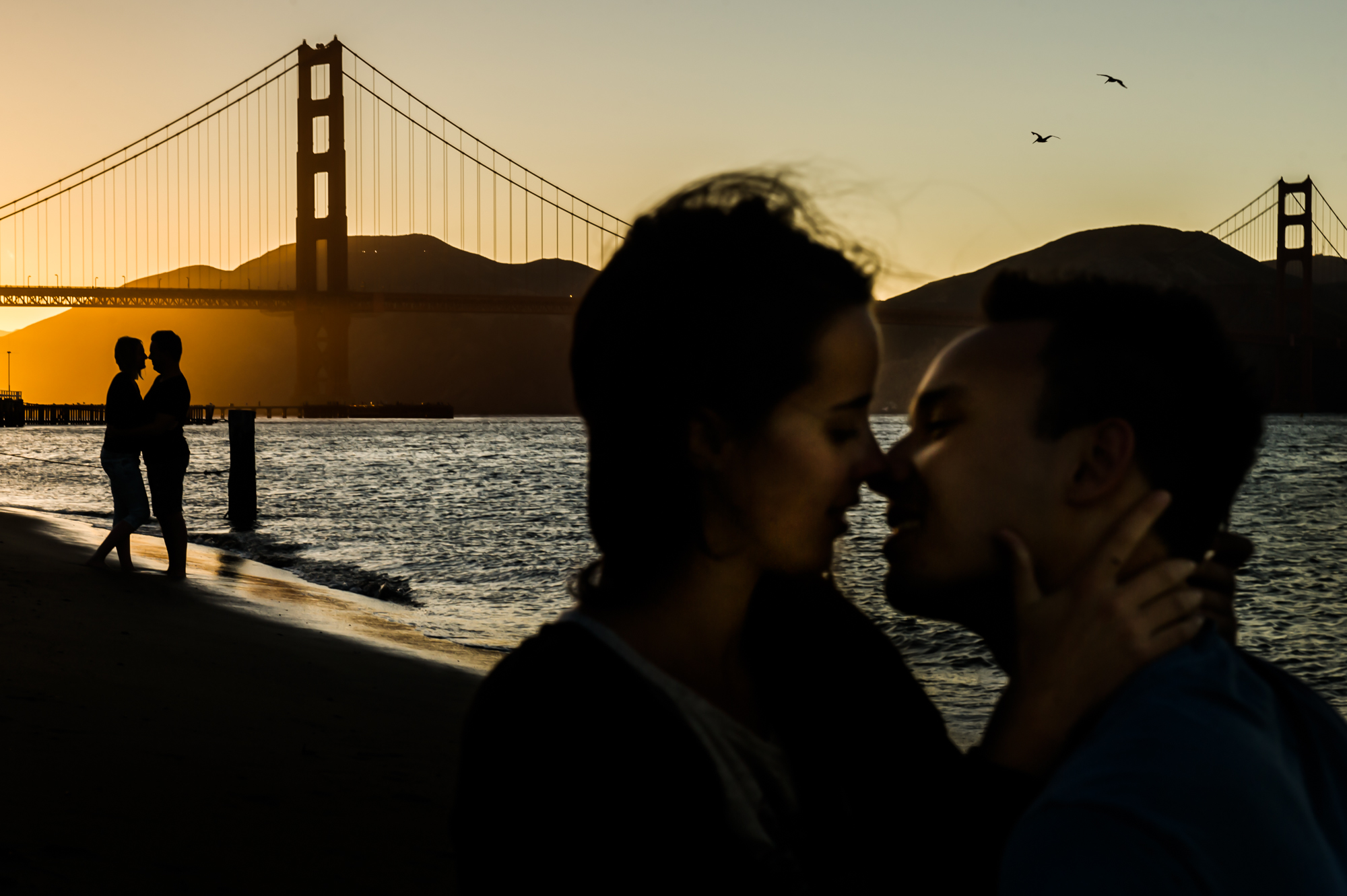 Master Of Dutch Wedding Photography Award